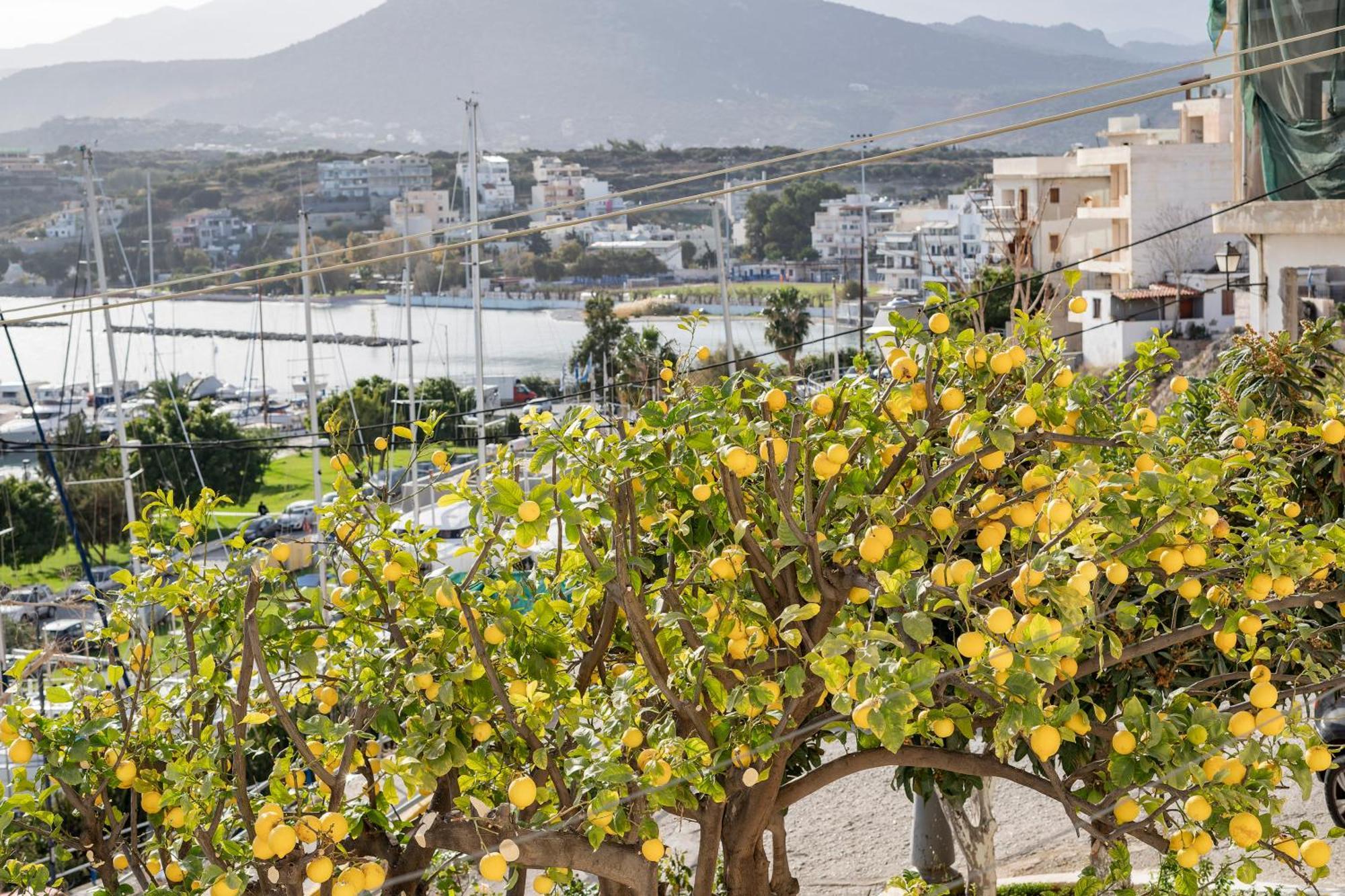 Jelena Apartments By The Sea Agios Nikolaos  Luaran gambar